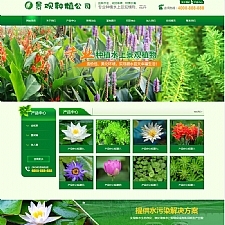 article cover